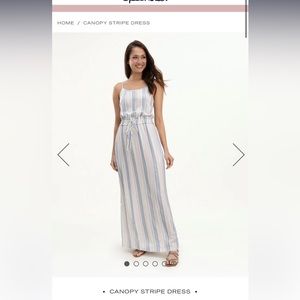 Splendid canopy stripe dress